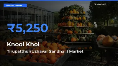 Tirupatthur(Uzhavar Sandhai ) Tops Knool Khol Rates – May 18 Market Update
