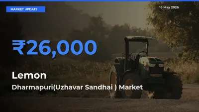 Farmers Prefer Dharmapuri(Uzhavar Sandhai ) as Lemon Hits Highest Rate