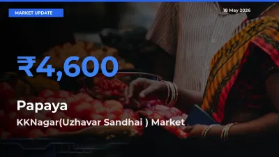 KKNagar(Uzhavar Sandhai ) Tops Papaya Mandi Rates Today