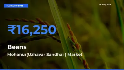 Farmers Prefer Mohanur(Uzhavar Sandhai ) as Beans Hits Highest Rate
