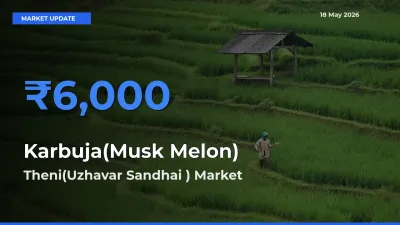 Theni(Uzhavar Sandhai ) Tops Karbuja(Musk Melon) Rates – May 18 Market Update