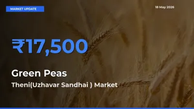 Theni(Uzhavar Sandhai ) Tops Green Peas Mandi Rates Today