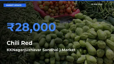 Market Watch: KKNagar(Uzhavar Sandhai ) Becomes Top Mandi for Chili Red
