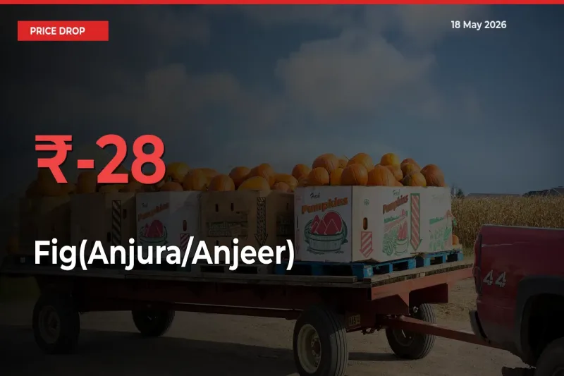 Sharp Fall! Fig(Anjura/Anjeer) Prices Plunge 28% in a Day at Key Mandis