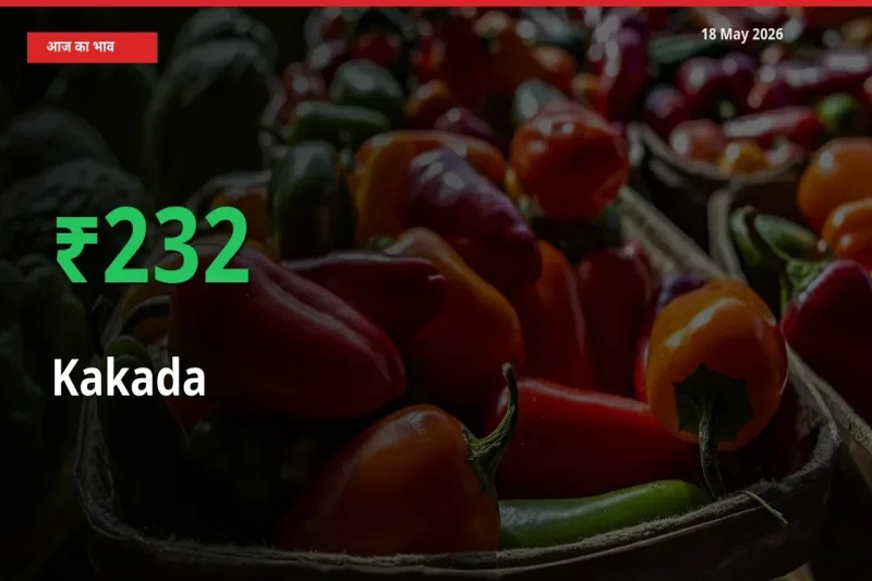 बाज़ार संकेत: काकड़ा के भाव मंडी में 231.51% ऊपर