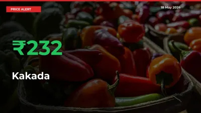Why Kakada Prices Rose 231.51% in a Day at Mandis