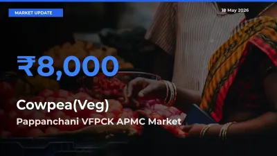 Market Watch: Pappanchani VFPCK APMC Becomes Top Mandi for Cowpea(Veg)