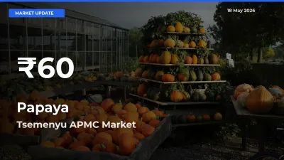 Papaya Prices Touch 30-Day Low in Tsemenyu APMC – May 18 Update