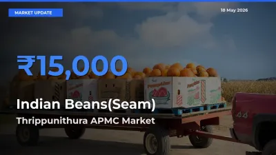 Thrippunithura APMC Emerges as Top Mandi for Indian Beans(Seam) Prices Today