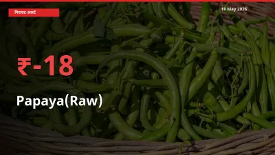 किसानों की चिंता बढ़ी! स्थानीय मंडी में पपीता (कच्चा) 17.86% गिरा