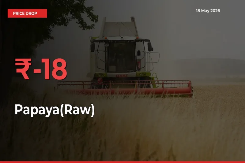 17.86% Drop in Papaya(Raw) Prices – Mandi Sees Sudden Fall