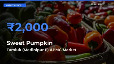 Tamluk (Medinipur E) APMC Offers ₹2,000 – Highest Sweet Pumpkin Rate Today