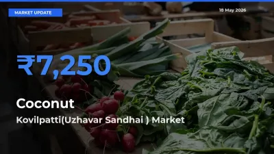 Kovilpatti(Uzhavar Sandhai ) Leads as Top Mandi for Coconut Prices