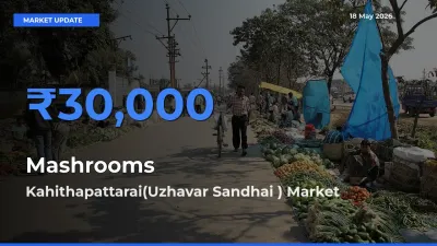 Kahithapattarai(Uzhavar Sandhai ) Tops Mashrooms Mandi Rates Today