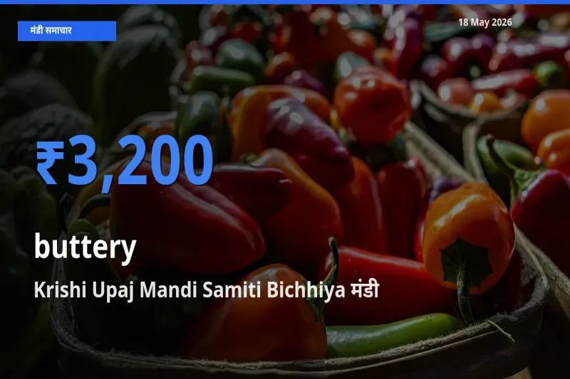 आज कोमलता से के सबसे ज़्यादा दाम Krishi Upaj Mandi Samiti Bichhiya मंडी में दर्ज
