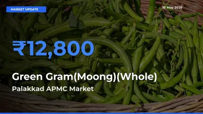 Market Watch: Palakkad APMC Becomes Top Mandi for Green Gram(Moong)(Whole)