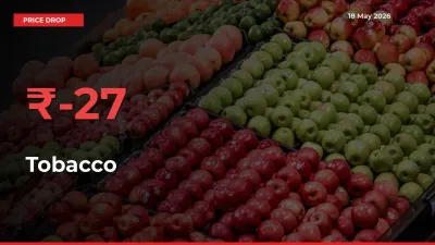 Tobacco Mandi Rate Today: Prices Fall 26.99% at Market
