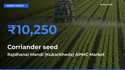 Market Watch: Rajdhanai Mandi (KukarKheda) APMC Becomes Top Mandi for Corriander seed
