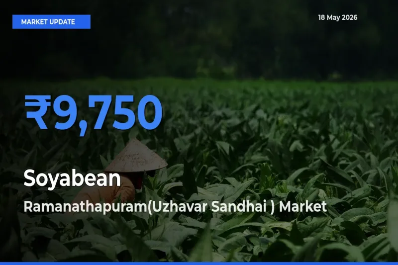 Market Watch: Ramanathapuram(Uzhavar Sandhai ) Becomes Top Mandi for Soyabean