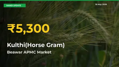 Kulthi(Horse Gram) Prices Soar to Record High in Beawar APMC – Farmers Alert Today