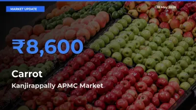 Farmers Prefer Kanjirappally APMC as Carrot Hits Highest Rate