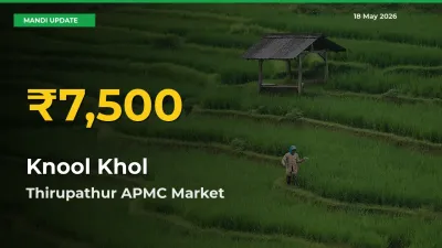 Knool Khol Prices Soar to Record High in Thirupathur APMC – Farmers Alert Today