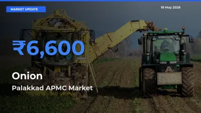 Palakkad APMC Offers ₹6,600 – Highest Onion Rate Today