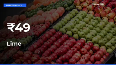Lime Mandi Trend Today: Prices Shift Across Multiple Markets