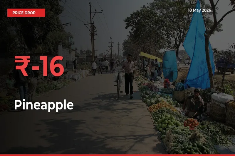 Pineapple Mandi Rate Today: Prices Fall 16.25% at Market