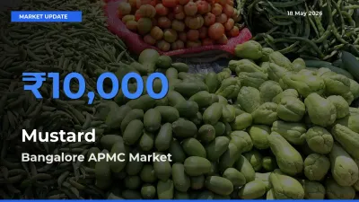 Market Watch: Bangalore APMC Becomes Top Mandi for Mustard