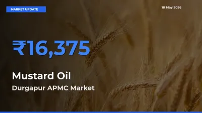 Durgapur APMC Records Highest ₹16,375 Rate for Mustard Oil