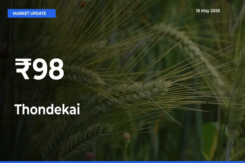 Why Thondekai Prices Are Moving Across Multiple Mandis Today
