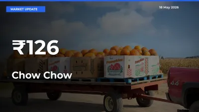 Chow Chow Mandi Prices Move in Sync Across Major Markets Today