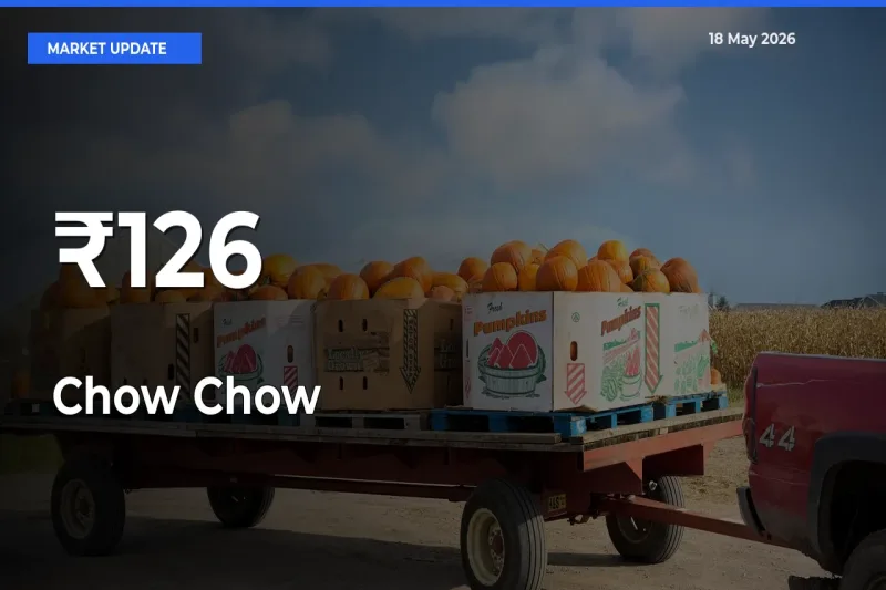 Chow Chow Mandi Prices Move in Sync Across Major Markets Today