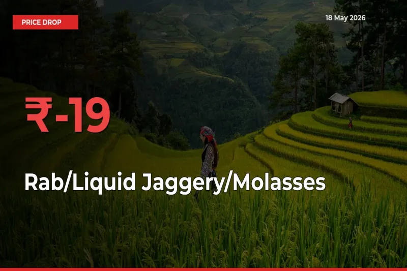 This Mandi Records 18.64% Fall in Rab/Liquid Jaggery/Molasses Prices