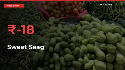 17.55% Drop in Sweet Saag Prices – Mandi Sees Sudden Fall