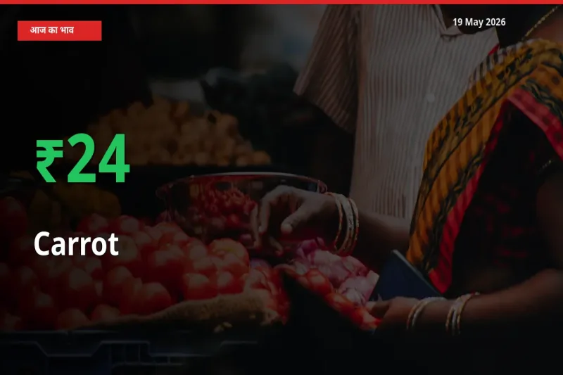 गाजर 24.49% उछला, मंडी