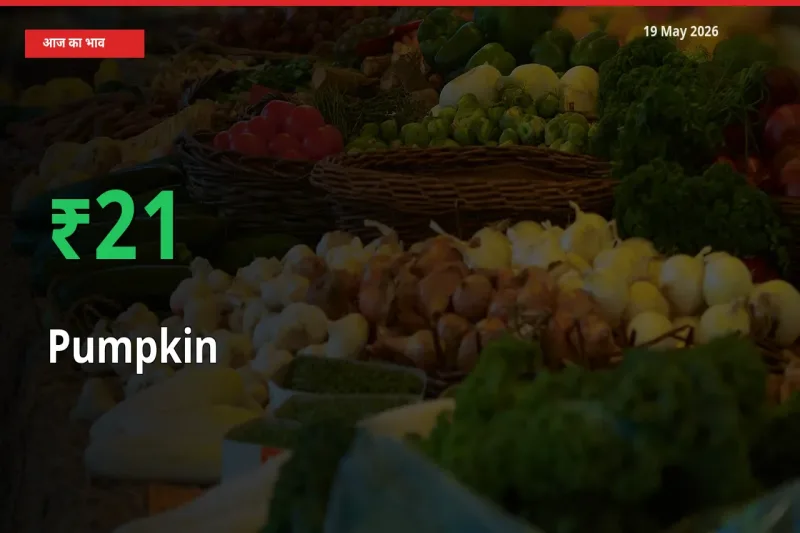 कद्दू 20.78% उछला, मंडी