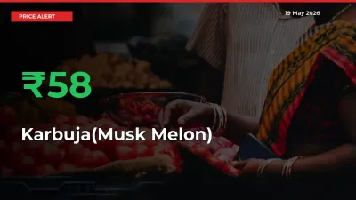 Big Rally! Karbuja(Musk Melon) Climbs 58.01% in 24 Hours at Top Mandis