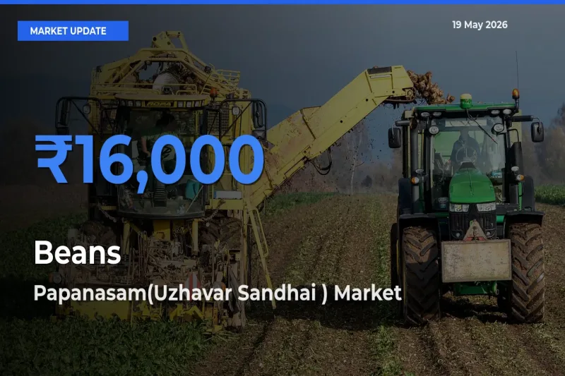 Market Watch: Papanasam(Uzhavar Sandhai ) Becomes Top Mandi for Beans