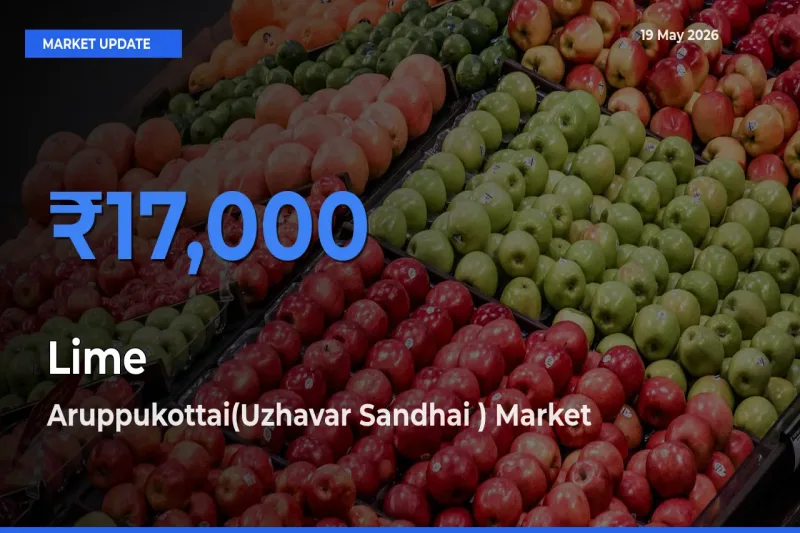 Aruppukottai(Uzhavar Sandhai ) Records Highest ₹17,000 Rate for Lime