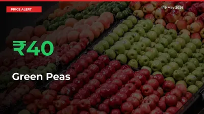 40.14% Spike in Green Peas Prices – Mandi Sees Sudden Rally