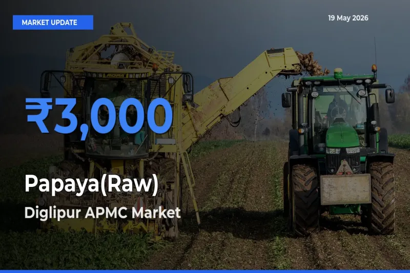 Market Watch: Diglipur APMC Becomes Top Mandi for Papaya(Raw)