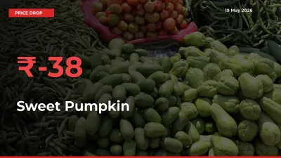 37.97% Drop in Sweet Pumpkin Prices – Mandi Sees Sudden Fall