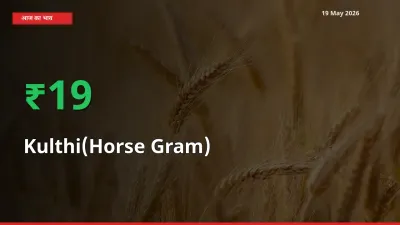 कुल्थी 18.66% उछला, मंडी
