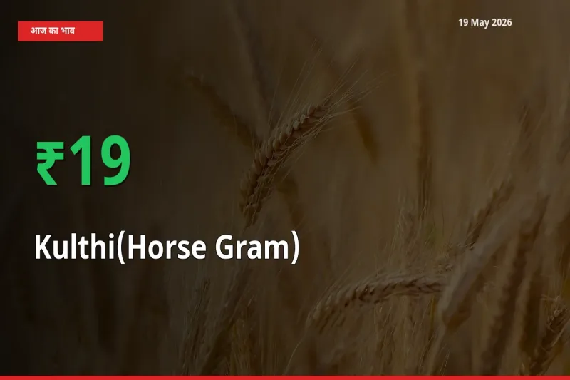 कुल्थी 18.66% उछला, मंडी