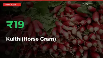 This Mandi Records 18.66% Jump in Kulthi(Horse Gram) Prices