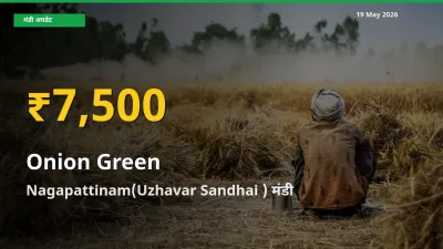 प्याज हरा के दामों में रिकॉर्ड तेज़ी, Nagapattinam(Uzhavar Sandhai )