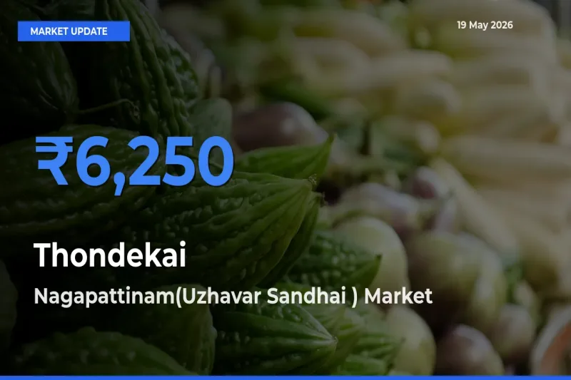 Nagapattinam(Uzhavar Sandhai ) Leads as Top Mandi for Thondekai Prices