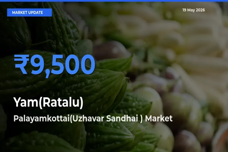 Palayamkottai(Uzhavar Sandhai ) Tops Yam(Ratalu) Rates – May 19 Market Update